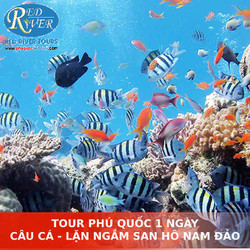 TOUR PHÚ QUỐC CÂU CÁ - LẶN NGẮM SAN HÔ NAM ĐẢO 1 NGÀY