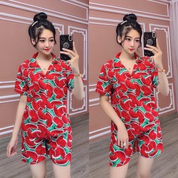 ĐỒ BỘ HÌNH TRÁI CÂY ĐỒ BỘ HÌNH TRÁI CÂY