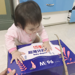 -SIÊU RẺ- BỈM YOULI NỘI ĐỊA TRUNG ĐỦ SIZE – YL5