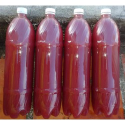 5L vi khuẩn quang hợp PSB