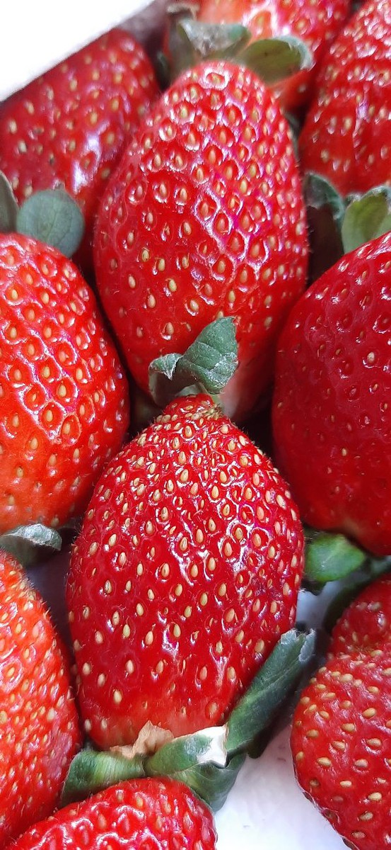 Dâu Tây Đà Lat_hộp 500g