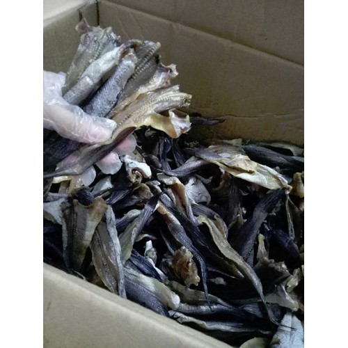 Túi 500gr Khô cá lóc cửng (Lóc đồng nguyên con)