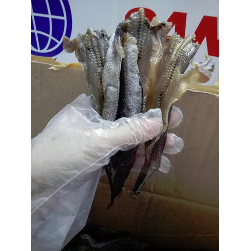 Túi 500gr Khô cá lóc cửng (Lóc đồng nguyên con)