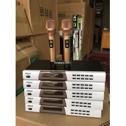 Micro không dây PDCJ 600F