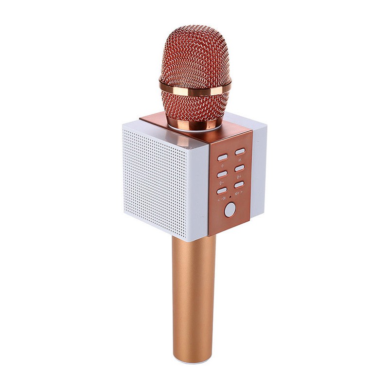 Micro Karaoke Tosing T008 (Mã SP: 5221844966)