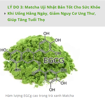 Bột trà xanh Uji Matcha Nhật Bản 500gram