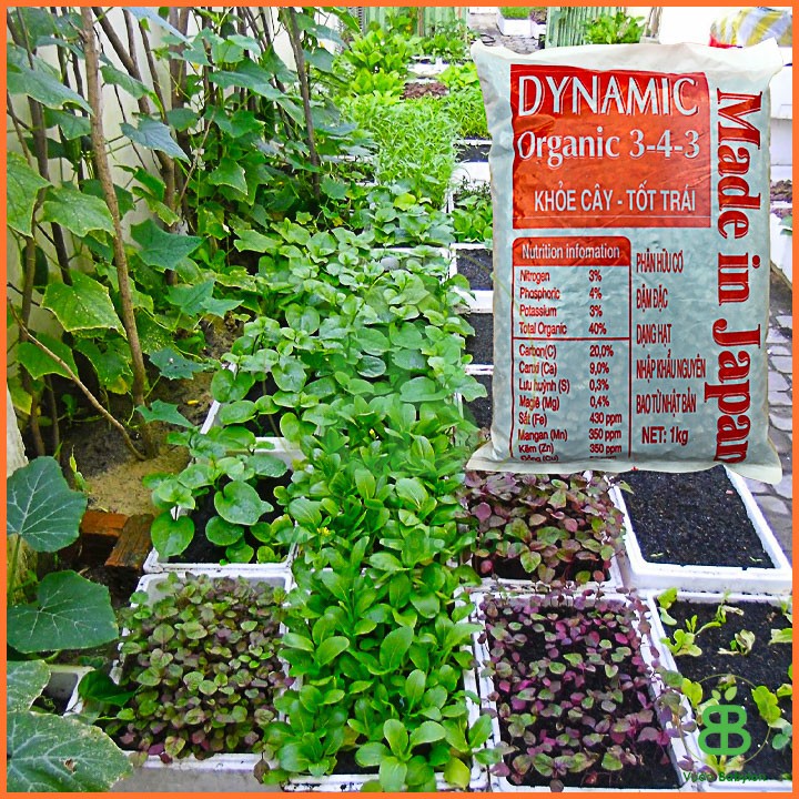 Phân hữu cơ Dynamic 3-4-3