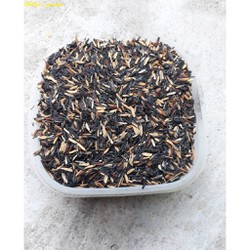 1KG TRẤU HUN NGUYÊN HẠT (GIÁ THỂ TRỒNG CÂY)