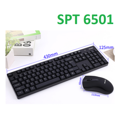 Bộ bàn phím chuột không dây Philips SPT6501
