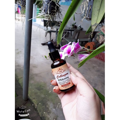 combo serum+kem collagen plus vit e