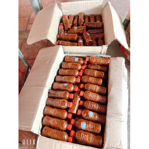 Com Bo 3 chai Mắm Tép - Ruốc chua Nghệ An