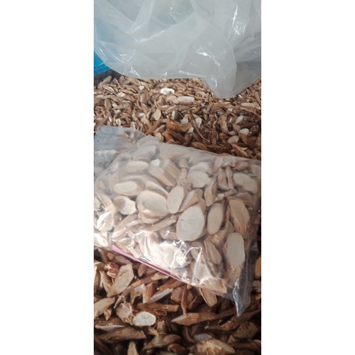 Cát Sâm ( củ Tài lệch)