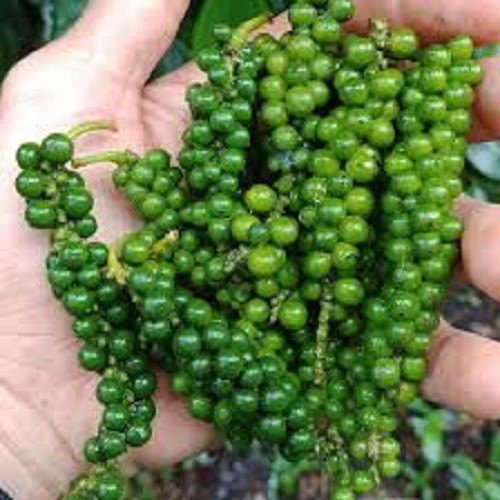 Tiêu Xanh Nguyên Cành 1kg - Tiêu, bột ớt | VinMart.co