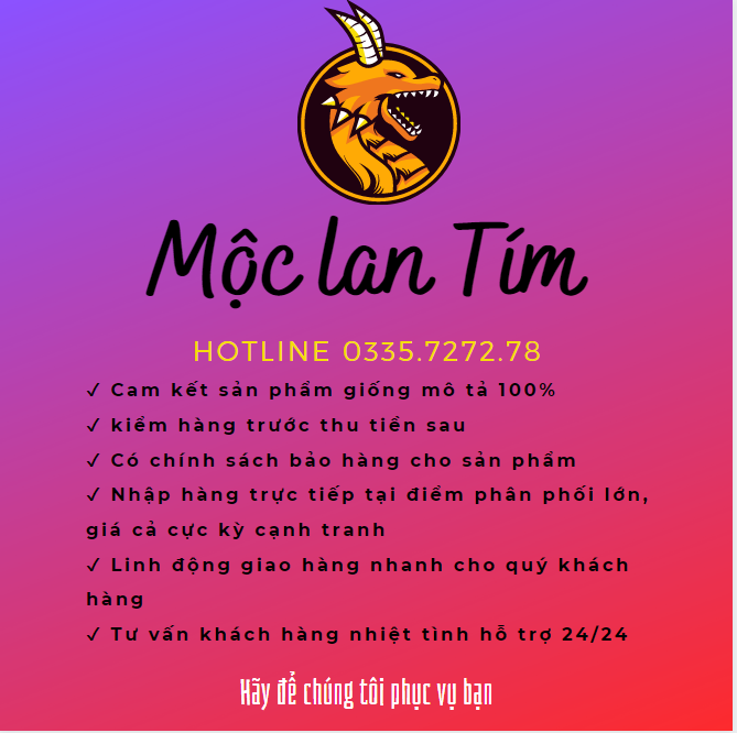 ổ khóa mini 3 số