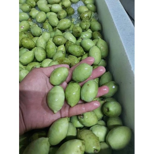 CÀ NA THÁI ĐẬP DẬP SỐC MUỐI ỚT NGON KHÓ CƯỠNG