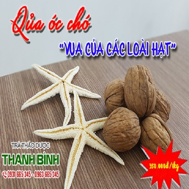 Hình ảnh Qủa ÓC Chó - Hàng Tốt Uy Tín - 100gr