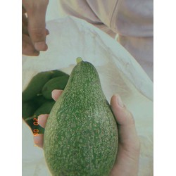 6kg bơ dẻo ngon daklak – 6kg bơ 25k 1kg