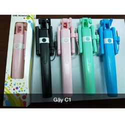 Gậy chụp hình