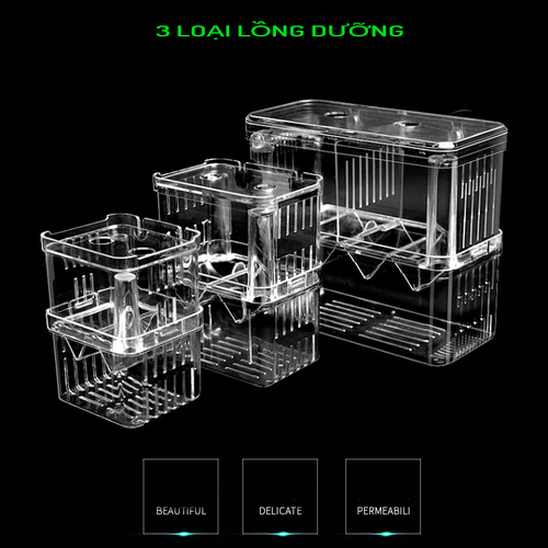 LỒNG CHO CÁ ĐẺ BẰNG MIKA - LỒNG DƯỠNG