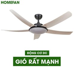 Quạt trần đèn hiện đại Homefan HL-FAN802T