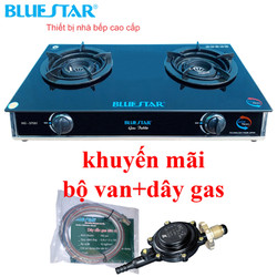 Bếp gas đôi Bluestar NG-5700 I