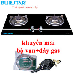 Bếp gas âm Bluestar NG-6730