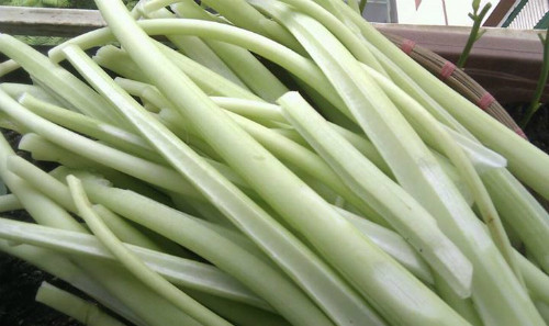 250g dọc mùng phơi khô