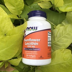 Tắc tia sữa Now Lecithin từ Mỹ