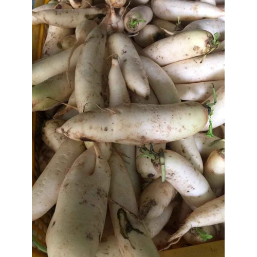 Củ Cải Khô Củ Cải Đà Lạt