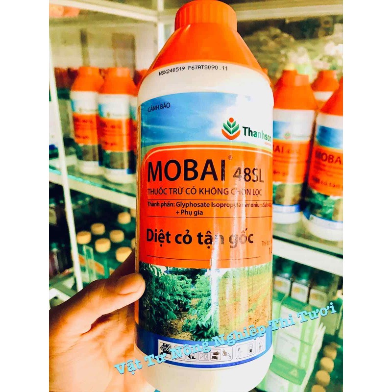 Thuốc trừ cỏ glyphosate Mobai 48sl- thuốc trừ cỏ khai hoang mạnh, diệt sạch cỏ dại chỉ 1 lần phun duy nhất – 100