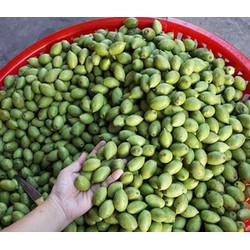 cà na thái sống