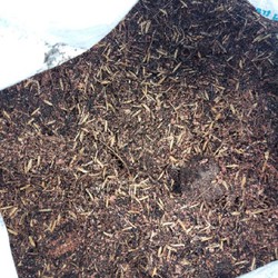 Hỗn Hợp Tro Trấu Xơ Mụn Dừa (1Kg) - giá thể trồng cây