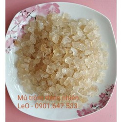 0,5kg Mủ Trôm Thiên Nhiên - Hat Lựu Đặc Sản Phan Rang túi nilong