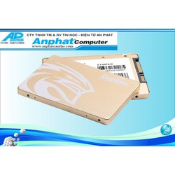 Ổ cứng SSD KingSpec 256GB P3-256 2.5inch Sata III