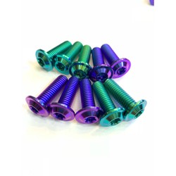 Ốc đĩa Titanium Gr5 8li25 thông dụng cho tất cả các loại xe (Sonic, Raider, Winner, Ex,...) Ốc đĩa Titanium Gr5 8li25 thông dụng cho tất cả các loại xe (Sonic, Raider, Winner, Ex,...)