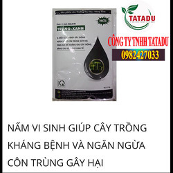 NẤM VI SINH GIÚP CÂY TRỒNG KHÁNG BỆNH VÀ NGĂN NGỪA CÔN TRÙNG GÂY HẠI GÓI 1 KG NẤM VI SINH GIÚP CÂY TRỒNG KHÁNG BỆNH VÀ NGĂN NGỪA CÔN TRÙNG GÂY HẠI GÓI 1 KG