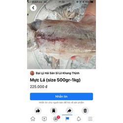 Mực lá Phan Thiết size 500-1000