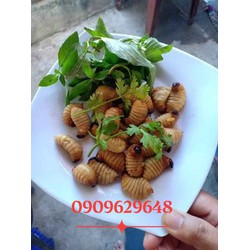 Đuông Dừa Bến Tre ( Bộ sản phẩm 35 con )