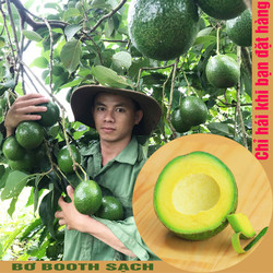 (BƠ BOOTH NHÀ TỰ NHIÊN AN TOÀN CHO SỨC KHOẺ) 1kg bơ BOOTH nhà trồng không tâm hoá chất – 101
