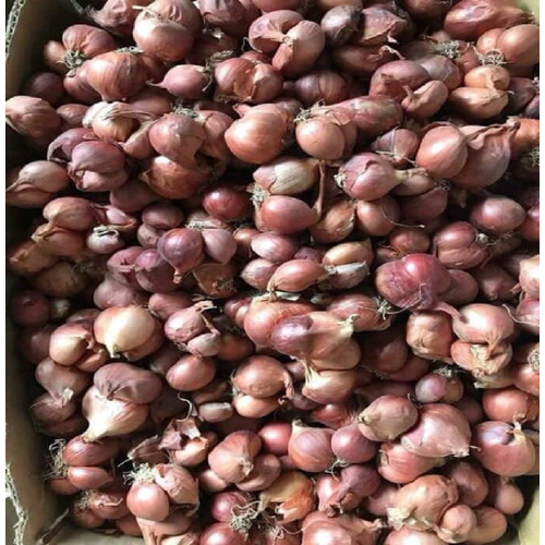 1 KG HÀNH PHI  KHÔ THƠM NGON