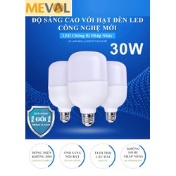 Bộ 2 bóng Led Bulb trụ nhựa ánh sáng trắng ( 30W ) cao cấp Meval – BO2 – LedBulb – TruNhua – 30W