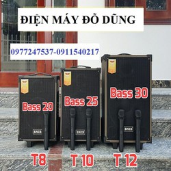 Loa kẹo kéo karaoke BRADWELL SHUPO BT12