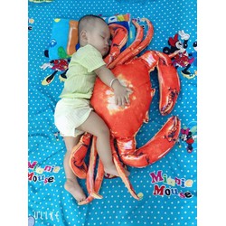 Xinh ko quý zị 🤣🤣 \n🦀🦀🦀🦀 \nGối ôm cua biển nhà e sẵn hàng