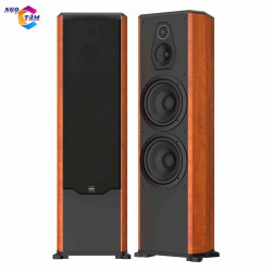 Dàn karaoke Paramax FX2500