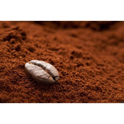 MAIHA COFFEE Thương hiệu độc quyền - Cà phê bột sản phẩm được nhiều người tin dùng nhất hiện nay.