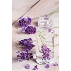 Tinh dầu lavender, tinh dầu bưởi