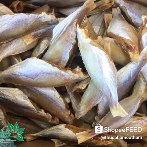 Cá Đổng 1 nắng lạt