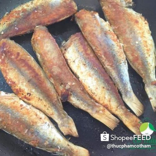 Cá Đổng 1 nắng lạt