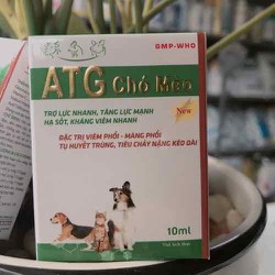ATG Chó Mèo – Trợ lực nhanh, tăng lực mạnh, Hạ sốt, kháng viêm nhanh. Đặc trị viêm phổi- tiêu chảy nặng kéo dài – ATG
