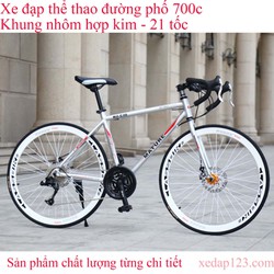 Xe đạp thể thao đường phố MATURE